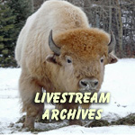 Go to the Livestream Archives to Watch the Latest Show